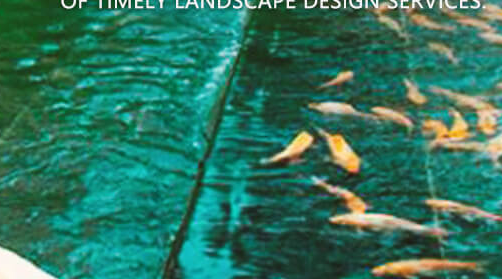 蘇州校園景觀設(shè)計?需要堅持的原則